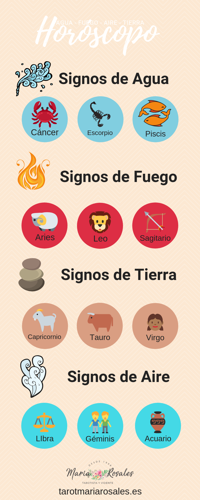 infografia elementos de los signos