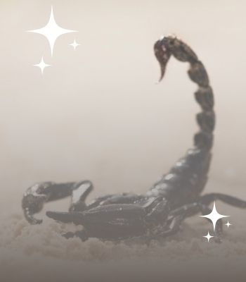 simbología de un escorpión